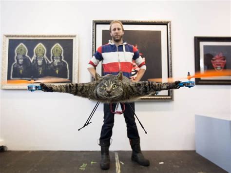 cat drone orvillecopter  drone  shook  world