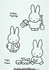 Coloring Miffy sketch template