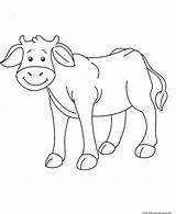 Coloring Cow Baby Printable Animal Pages Farm Kids Animals Clipart Shapes Colouring Freekidscoloringpage Children Catfish Print Cartoon Face Cows Simple sketch template