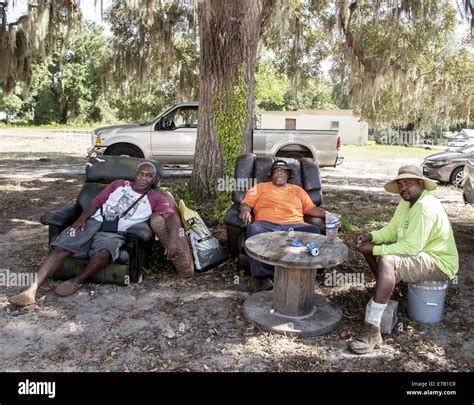 group people sitting  tree  res stock photography  images alamy