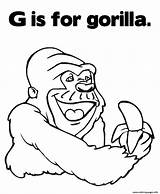 Gorilla Coloring Pages Kids Alphabet Color Printable Face Print Books Library Clipart Template sketch template