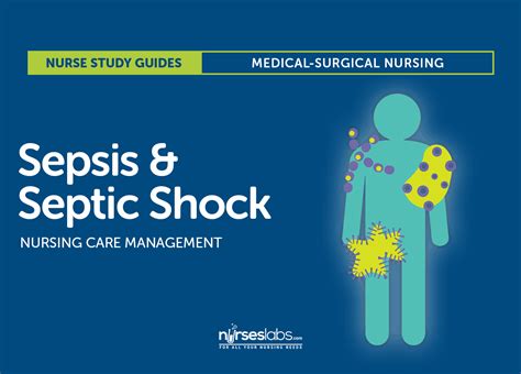 sepsis  septic shock nursing care management study guide