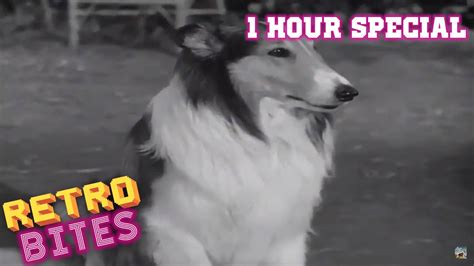 lassie  hour special english full episodes youtube