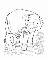 Olifant Kleurplaat Mama Elephant sketch template