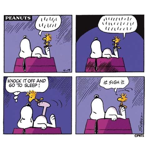 Go To Sleep Snoopy Funny Snoopy Love Snoopy Cartoon