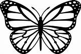 Monarch Coloring Getdrawings Butterfly sketch template