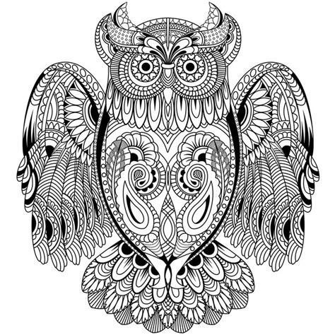 owl coloring pages  adults images  pinterest
