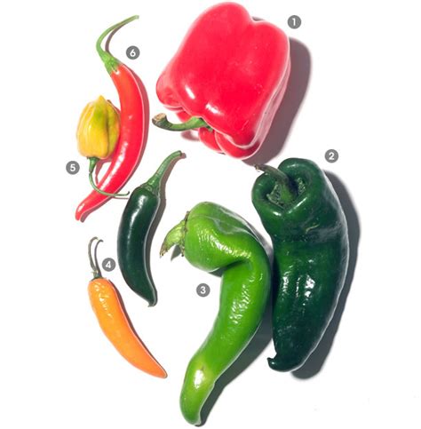 A Visual Guide To Peppers