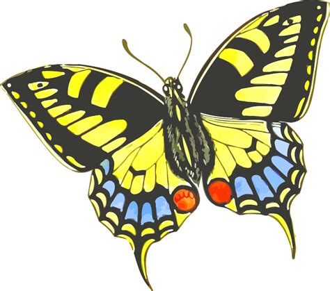 onlinelabels clip art butterfly