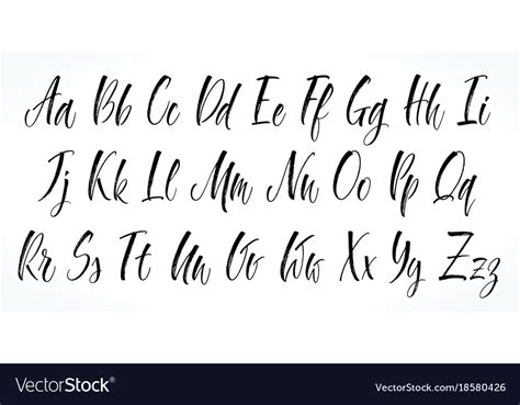 alphabet brush lettering royalty  vector image