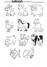 Animals Color Children Activities Printable Worksheets Colour Kids English Domestic Learn Animal Farm Vocabulary Preschool sketch template