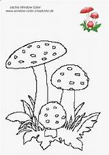 Vorlagen Herbst Blumen Pilze Malvorlagen Unglaublich sketch template