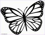 Butterfly Printable Coloring Kids Pages Monarch Stencil Choose Board sketch template