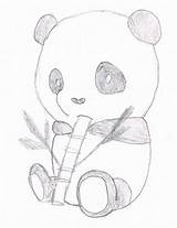 Pandas Bamboo Getdrawings Gaddynippercrayons sketch template