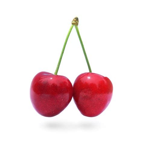 cherry wikipedia