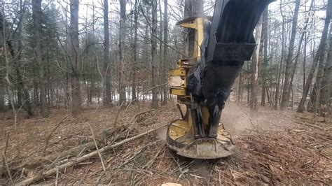 bit  logging   northeast youtube