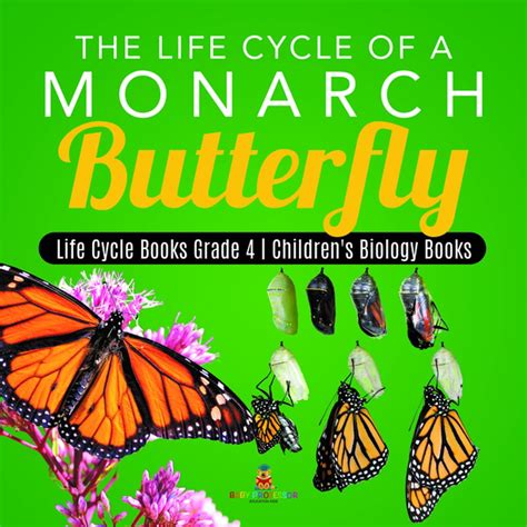life cycle   monarch butterfly life cycle books grade