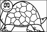 Coloring Turtle Amphibian Wecoloringpage Pages sketch template