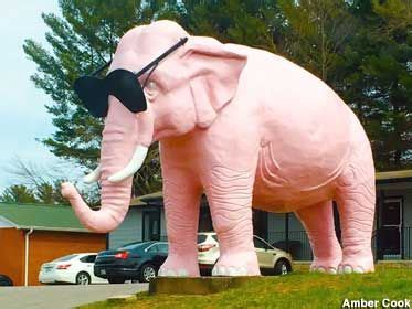 cookeville tn ellie  pink elephant cookeville elephant