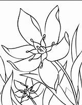 Coloring Pages Flower Color Flowers sketch template
