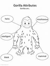 Gorilla Speechie Goodnight sketch template