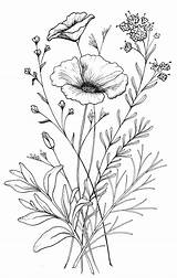 Flower Drawing Sketches Wildflower Drawings Tattoo Designs Red Sketch Illustration Blume Sketching sketch template
