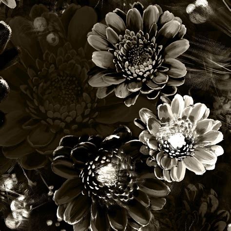 pin  rita carson guest  beautiful materials black floral wallpaper floral wallpaper