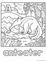 Coloring Alphabet Animal Printables Pages Letter Colouring Anteater Uppercase Abc Words Books Adult Activities Fun Helps Awareness Bottom Too Children sketch template