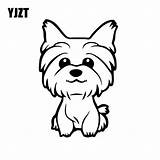 Yorkshire Terrier Yorkie Puppy Teacup Coloreo sketch template