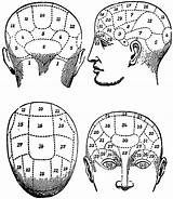 Phrenology Etc Clipart Large sketch template