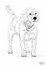 Beagle Coloring Pages Printable Edge Color Paper Colorings Getdrawings Getcolorings Drawing sketch template