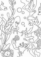 Sea Coloring Pages Animal sketch template