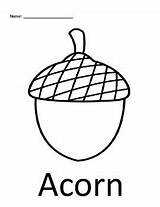 Acorn sketch template