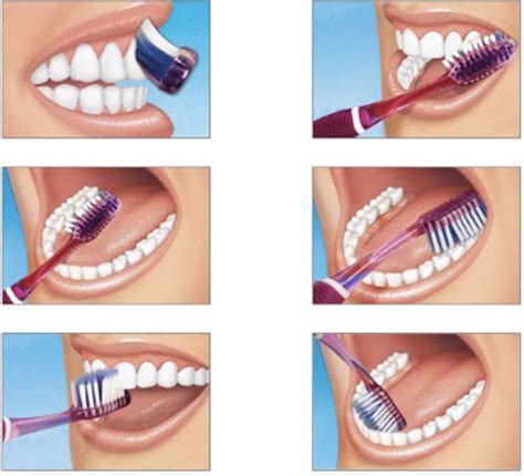 tooth brushing techniques news dentagama