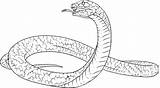 Coloring Cobra Pages King Snake Drawing Rattlesnake Anaconda Realistic Colouring Drawings Spitting Snakes Printable Color Diamondback Western Getcolorings Sheets Mucha sketch template