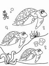 Coloring Migration Turtle Sea Pages Cute Cartoon Printable Color Getcolorings Designlooter 797px 03kb Getdrawings sketch template