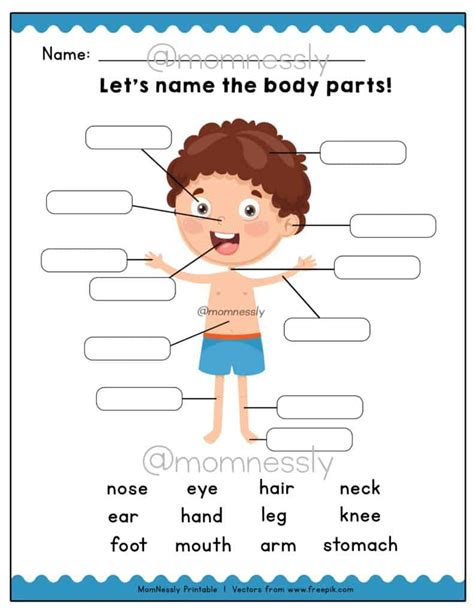 body parts worksheet  grade  identify  body parts learning