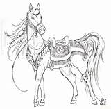 Arabian Tack Ceremonial Carousel Billed Ego Galidor Character 1384 Pixels 1400 Coloriage Cheval Visiter sketch template