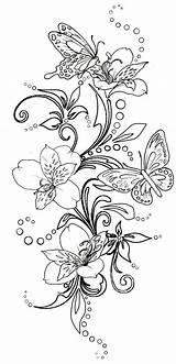 Mandala Swirls Blumenranken Schmetterlinge Ausmalbilder sketch template