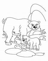 Coloring Animals Bear Pages Their Babies Mother Cub Baby Cubs Father Drawing Logo Polar Waiting His Kids Chicago Build Clipart sketch template