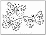 Butterfly Coloring Pages Butterflies Printable Monarch sketch template
