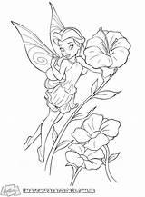 Tinkerbell Tinker sketch template