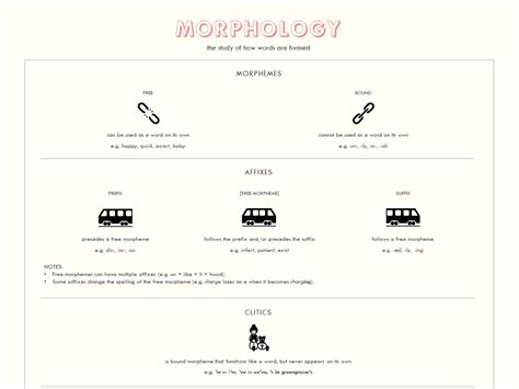 morphology teaching resources