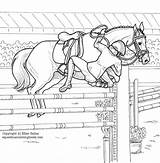 Jumping Showjumping Equestrian Getcolorings Realistic Dressage sketch template
