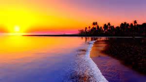 Romantic Beach Tropical Landscapes Sunset Sun Palms Sea