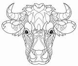 Coloring Cow Pages Head Animal Print Adult Outline Zentangle Kuh Kids Doodle sketch template