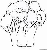 Broccoli Coloring Pages Vegetable Printable Vegetables Fruits Book Print Total Views Kids Popular Freekidscoloringpage sketch template