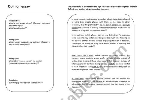opinion paragraph structure   write  opinion paragraph