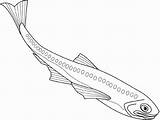 Coloring Fish Lanternfish Flying Drawings sketch template