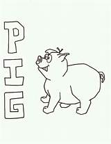Pig Coloring Scared Look sketch template